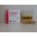 MOLDAVIAN TRENBOLONE ENANTHATE 200mg/1mg x 5 amps