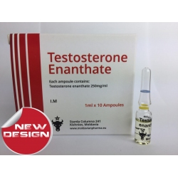 MOLDAVIAN TESTOSTERONE ENANTHATE 250 (250mg/1ml.) x 5 amps