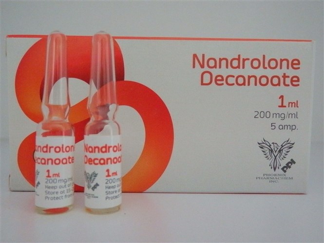 MOLDAVIAN DECA 250 Nandrolone Decanoate 250mg/1ml x 5 amps_1