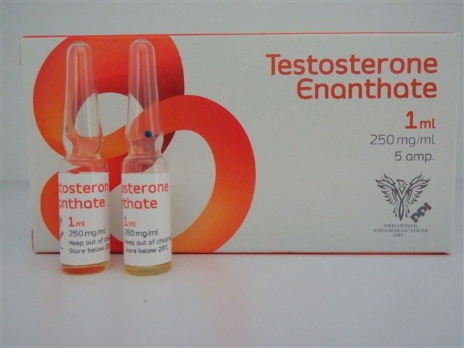 MOLDAVIAN TESTOSTERONE ENANTHATE 250 (250mg/1ml.) x 5 amps_1